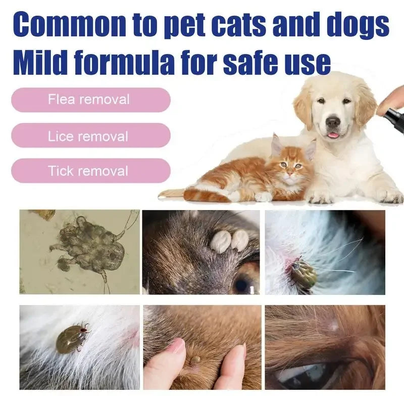 Anti Flea Spray for Cats & Dogs, Prevent Ticks, Flea Lice Insect