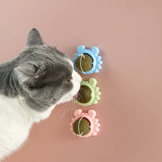 Healthy Cat Catnip Toys Ball (Nutrition Energy Ball for Cat & Kitten)