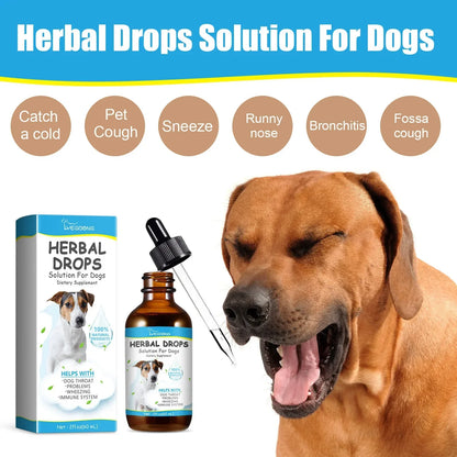 Pet Cough Herbal Drops (Best Cough, Throat Discomfort & Sneezing Treatment)