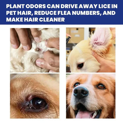 Anti Flea Spray for Cats & Dogs, Prevent Ticks, Flea Lice Insect