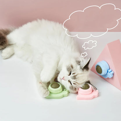 Healthy Cat Catnip Toys Ball (Nutrition Energy Ball for Cat & Kitten)