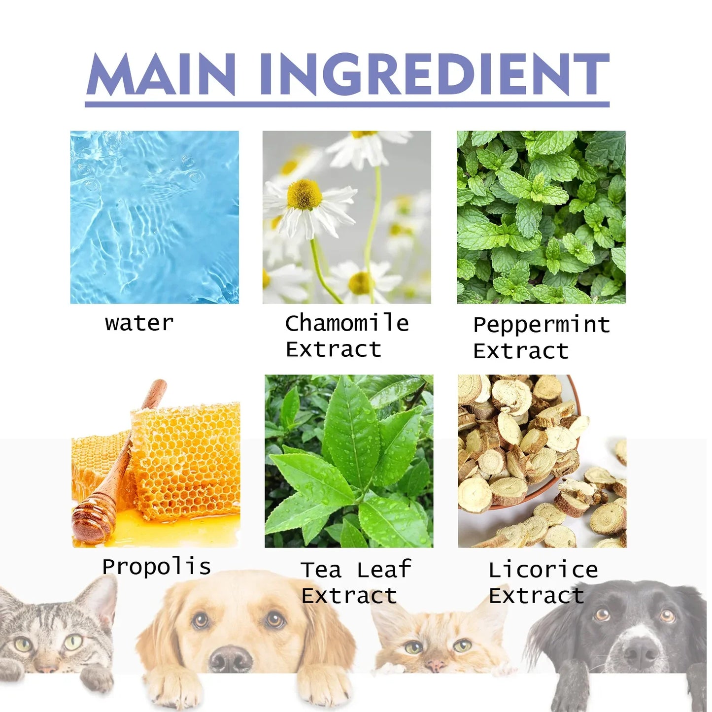 Pet Oral Care Spray for Teeth Clean, Deodorant Prevent Calculus Freshen Breath - No Brushing