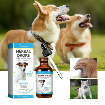 Pet Cough Herbal Drops (Best Cough, Throat Discomfort & Sneezing Treatment)