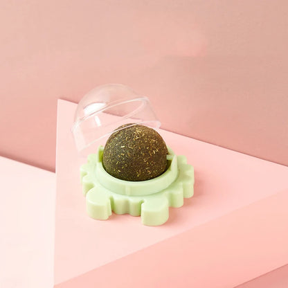 Healthy Cat Catnip Toys Ball (Nutrition Energy Ball for Cat & Kitten)