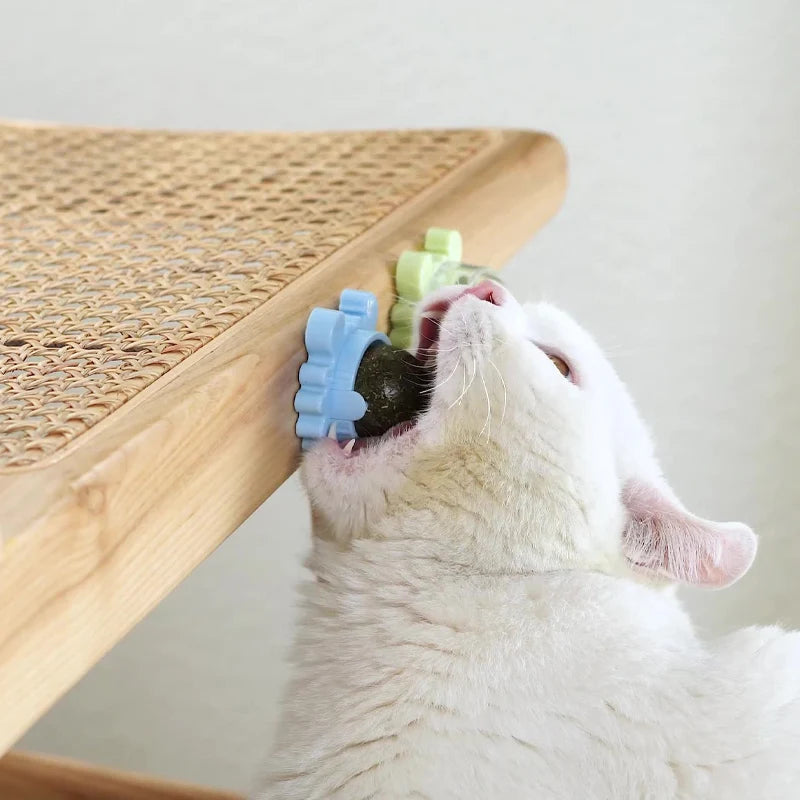 Healthy Cat Catnip Toys Ball (Nutrition Energy Ball for Cat & Kitten)