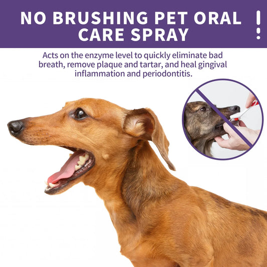 Pet Oral Care Spray for Teeth Clean, Deodorant Prevent Calculus Freshen Breath - No Brushing