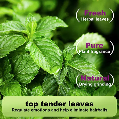 100% Natural Safe & Non-Addictive Catnip Treats Used to Supplement Catnip Toys