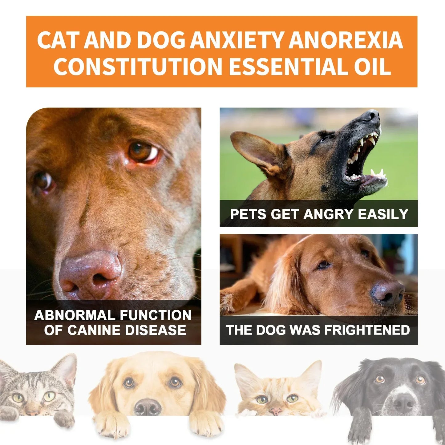 Natural Organic Calming Oil for Pet Anxiety Relief