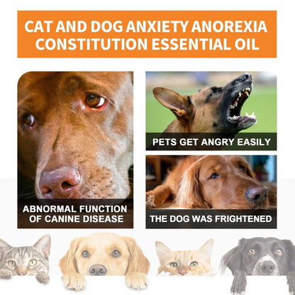 Natural Organic Calming Oil for Pet Anxiety Relief